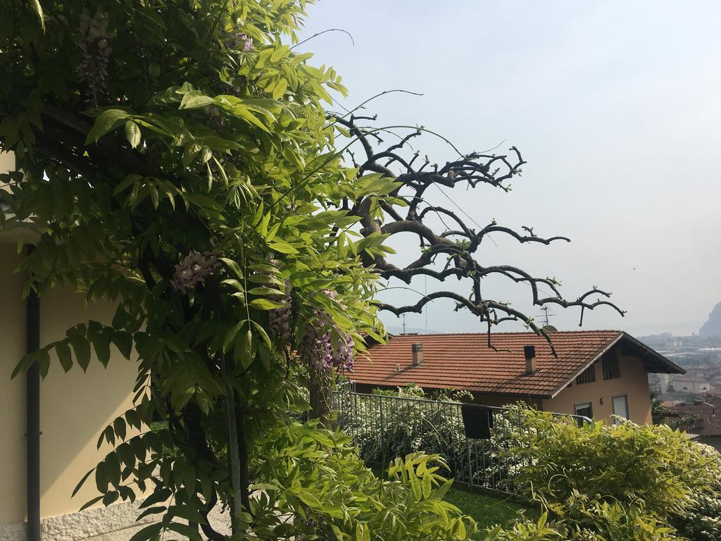 Weiss Apartment Riva del Garda